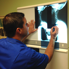 naugatuck chiropractic, greg rocchio, naugatuck family chiropractor with dr greg w rocchio, corrective chiropractor, naugatuck chiropractors, doctors in naugatuck CT, spinal exams, childrens chiroptactors naugatuck CT, spinal radiographs naugatuck Ct, back doctors naugatuck CT, chiropractors in CT, spinal adjustments by naugatuck family chiropractor, registered chiropractors naugatuck CT, dr greg w rocchio, family chiroptactic naugatuck Ct, Ct chiropractors, prenatal chiropractors naugatuck CT, dr greg rocchio childrens chiropractor