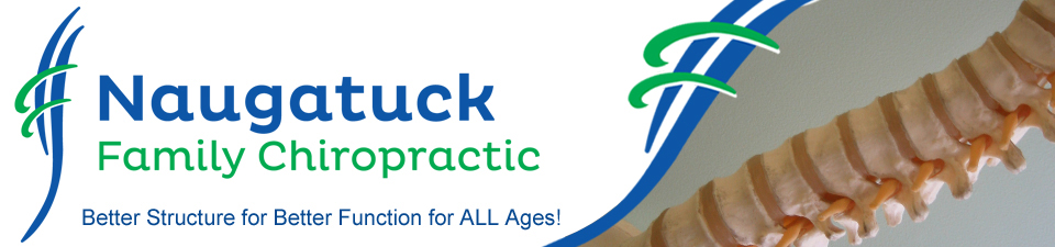 naugatuck chiropractic, greg rocchio, naugatuck family chiropractor with dr greg w rocchio, corrective chiropractor, naugatuck chiropractors, doctors in naugatuck CT, spinal exams, childrens chiroptactors naugatuck CT, spinal radiographs naugatuck Ct, back doctors naugatuck CT, chiropractors in CT, spinal adjustments by naugatuck family chiropractor, registered chiropractors naugatuck CT, dr greg w rocchio, family chiroptactic naugatuck Ct, Ct chiropractors, prenatal chiropractors naugatuck CT, dr greg rocchio childrens chiropractor,family chiropractor in Naugatuck, naugatuck family chiropractic, naugatuck family chiropractor, naugatuck chiropractic family clinic