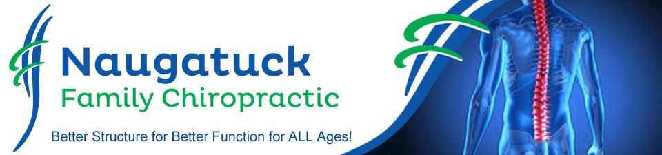 naugatuck chiropractic, greg rocchio, naugatuck family chiropractor with dr greg w rocchio, corrective chiropractor, naugatuck chiropractors, doctors in naugatuck CT, spinal exams, childrens chiroptactors naugatuck CT, spinal radiographs naugatuck Ct, back doctors naugatuck CT, chiropractors in CT, spinal adjustments by naugatuck family chiropractor, registered chiropractors naugatuck CT, dr greg w rocchio, family chiroptactic naugatuck Ct, Ct chiropractors, prenatal chiropractors naugatuck CT, dr greg rocchio childrens chiropractor,family chiropractor in Naugatuck, naugatuck family chiropractic, naugatuck family chiropractor, naugatuck chiropractic family clinic